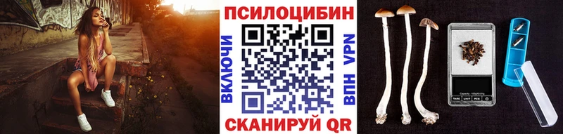 omg tor  магазин продажи   Ленинградская  Псилоцибиновые грибы ЛСД 